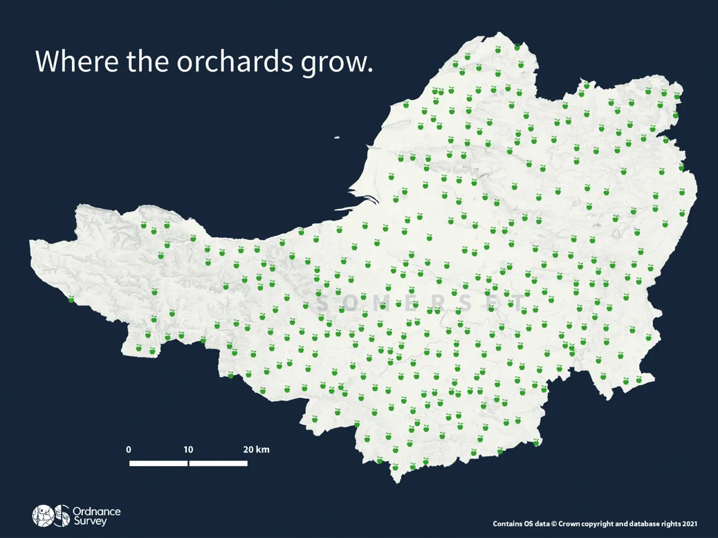 Data visualisation depicting locations of orchards in Somerset